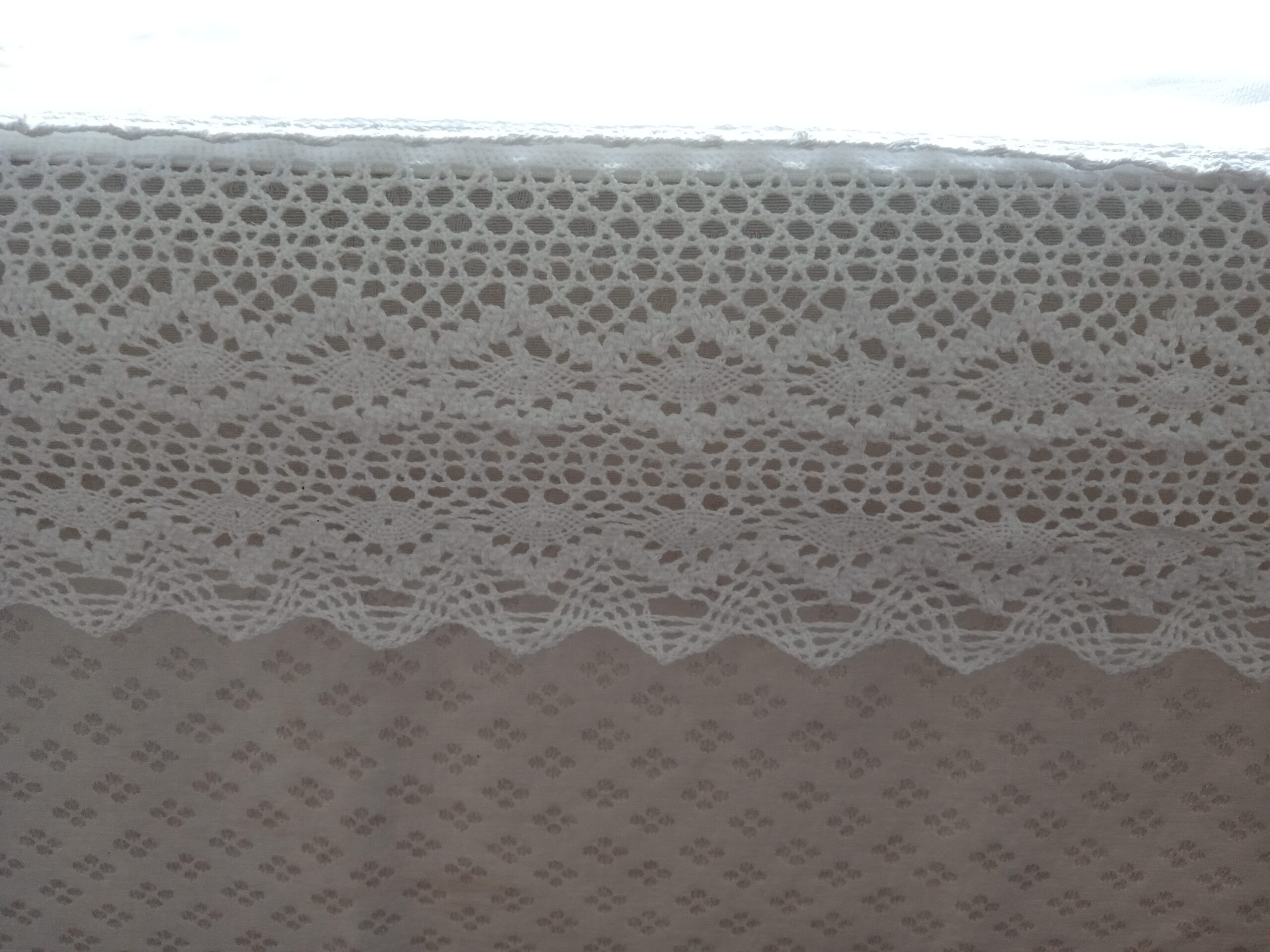 IMG_20250415_124428_251